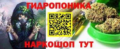 jwh Можга